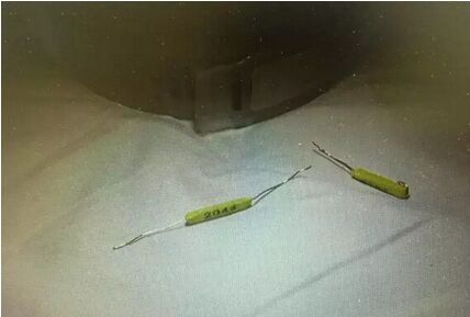 青海湟鱼身上配戴RFID芯片实现洄游追踪研究 青海湟鱼身上配戴RFID芯片实现洄游追踪研究